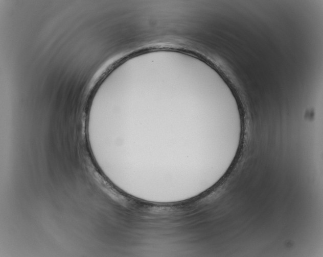 X0000112791232200909181506