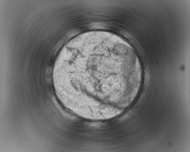 X0000112791233200909181506