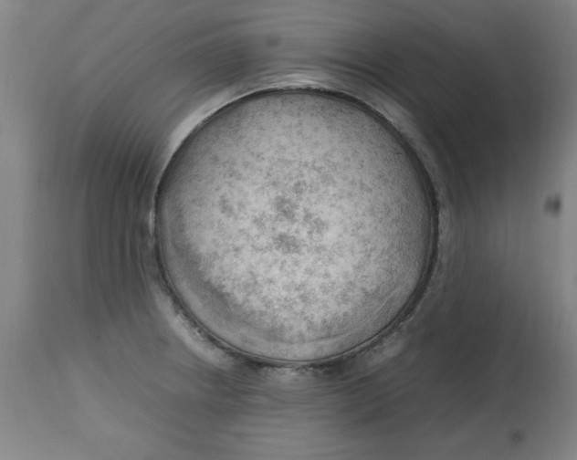 X0000112791234200909181506