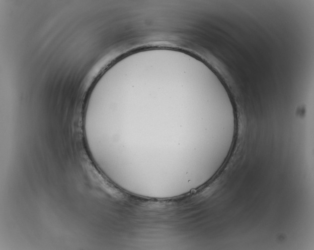 X0000112791240200909181506