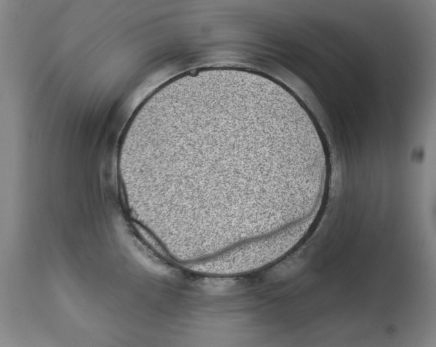 X0000112791242200909181506