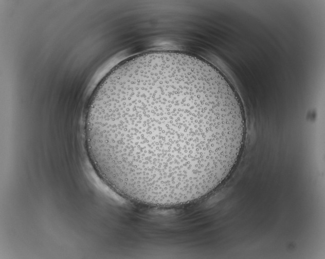 X0000112791243200909181506