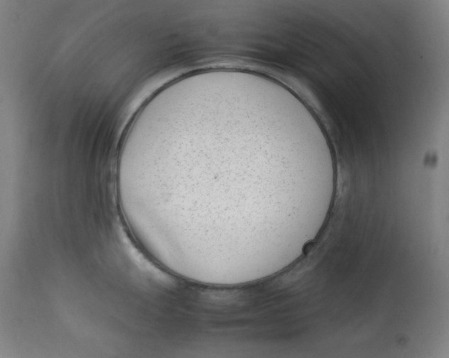 X0000112791247200909181506