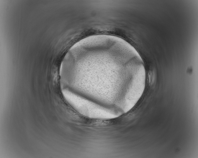 X0000112791251200909181506