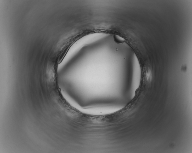 X0000112791252200909181506