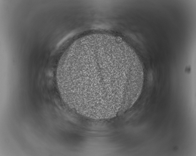 X0000112791254200909181506