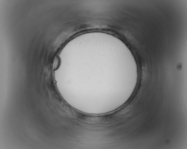 X0000112791257200909181506