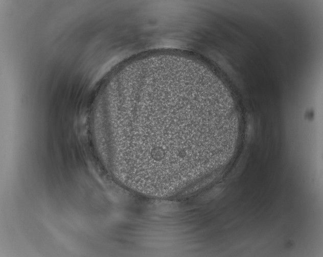 X0000112791258200909181506