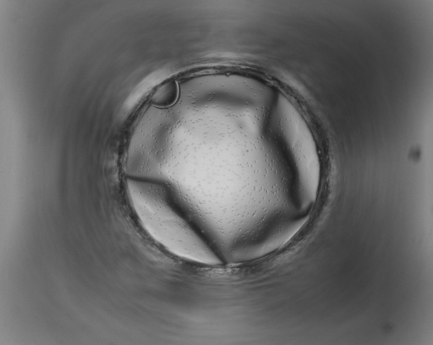 X0000112791259200909181506