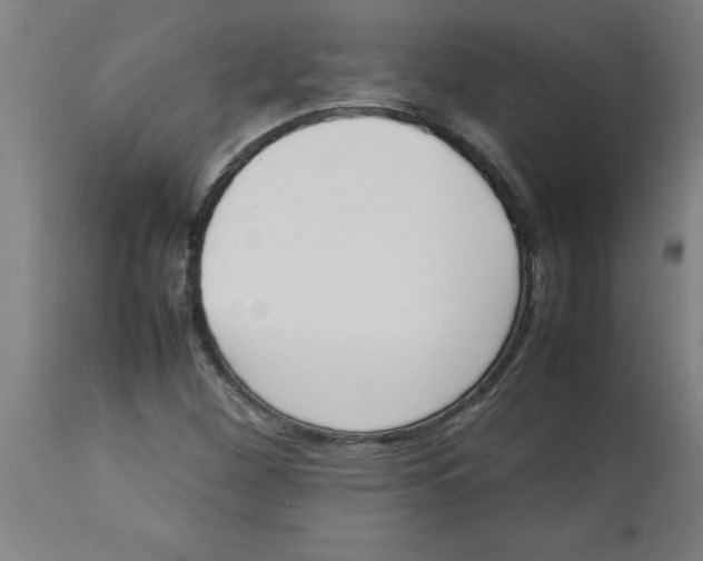 X0000112791260200909181506