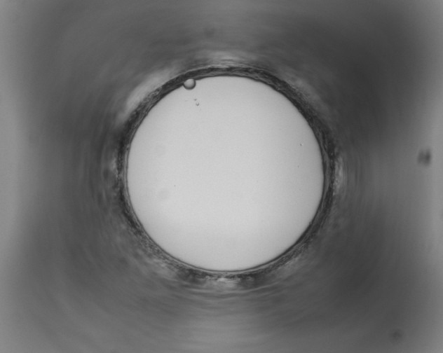 X0000112791261200909181506