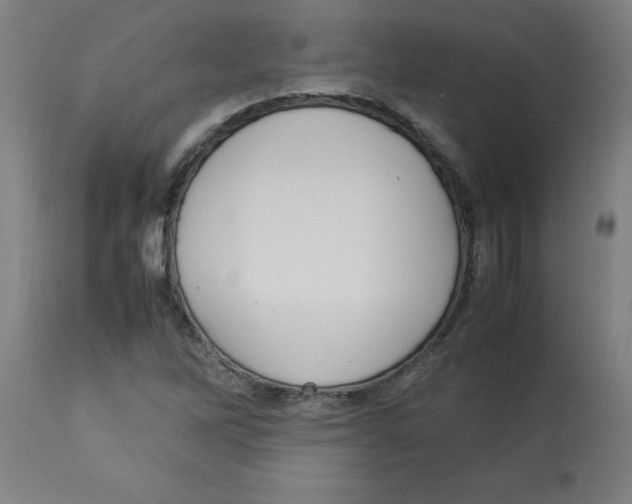 X0000112791262200909181505