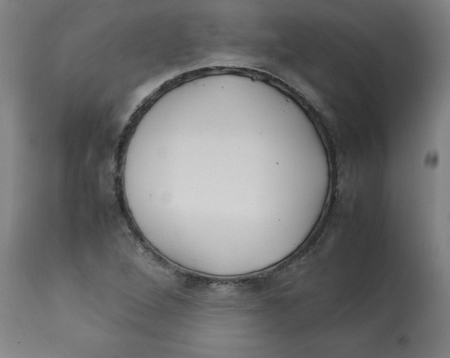 X0000112791264200909181505