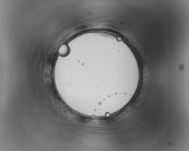 X0000112791265200909181505