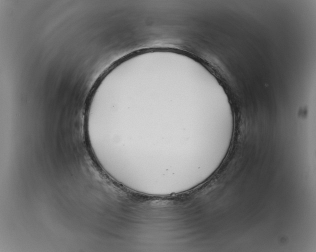 X0000112791268200909181505