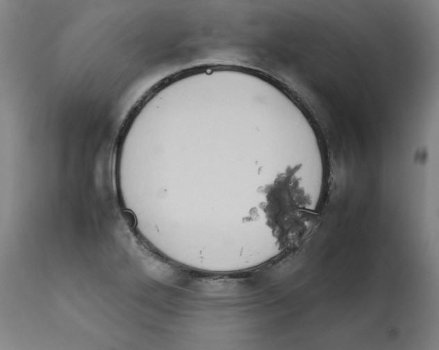 X0000112791272200909181505