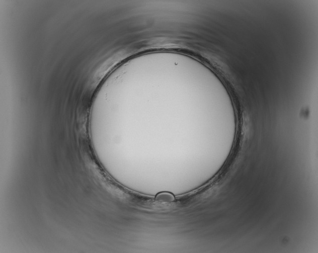 X0000112791273200909181505