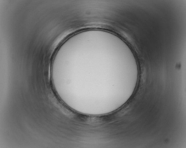 X0000112791275200909181505