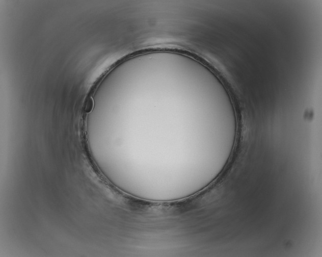 X0000112791277200909181505