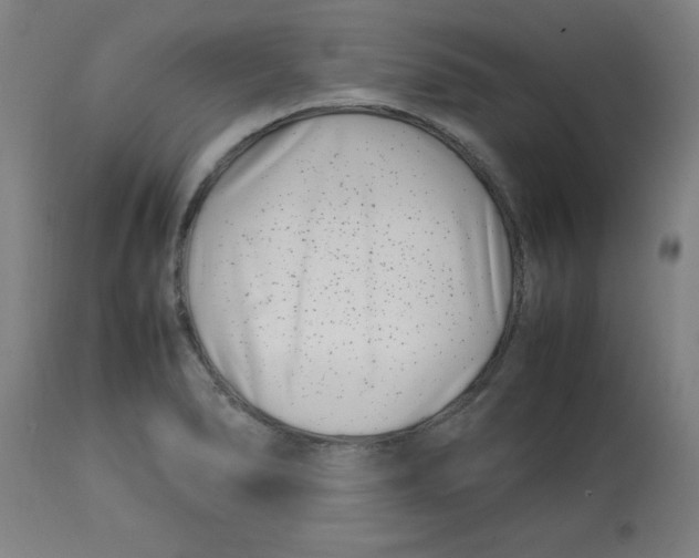 X0000112791278200909181505