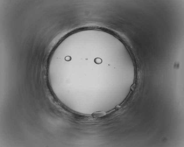 X0000112791279200909181505