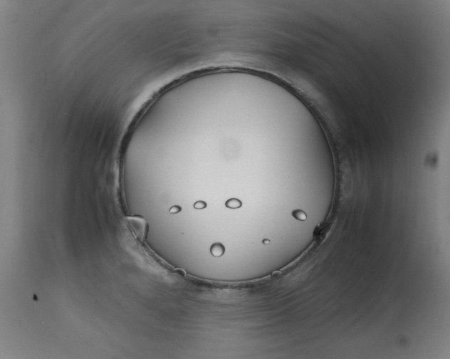 X0000112791280200909181505