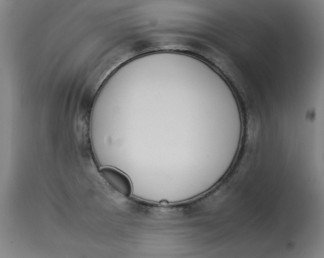 X0000112791281200909181505