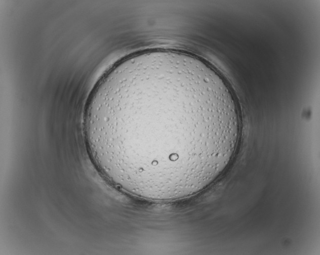 X0000112791283200909181505