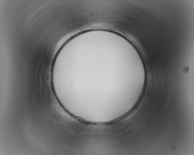 X0000112791288200909181505