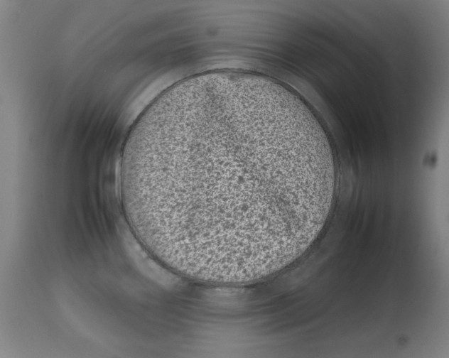 X0000112791290200909181505