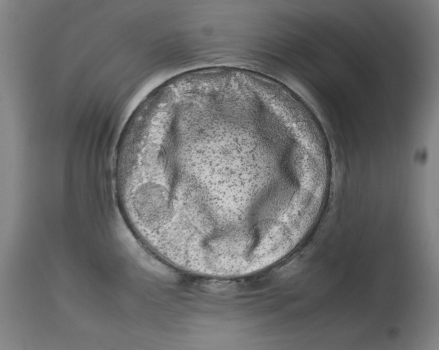 X0000112791291200909181505