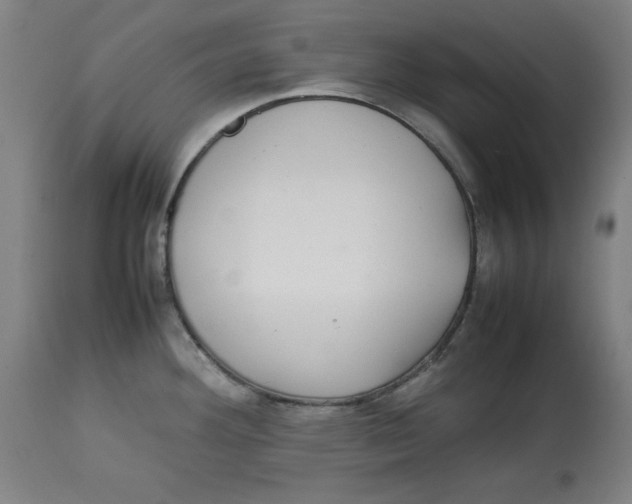 X0000112791292200909181505