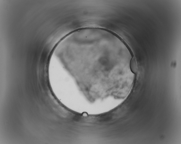 X0000112791293200909181505