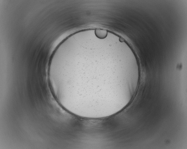 X0000112791294200909181505