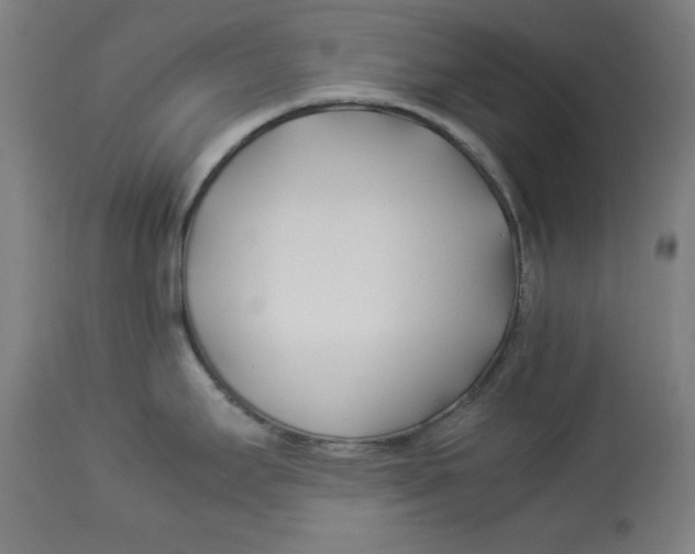 X0000112791295200909181505