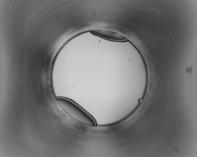 X0000112791296200909181505