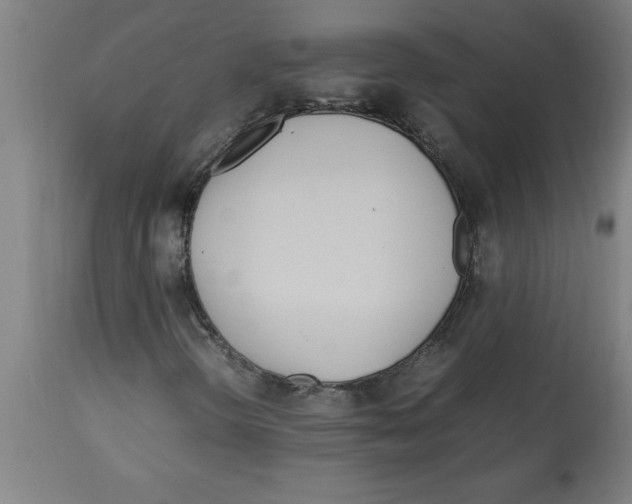 X0000112791298200909181504