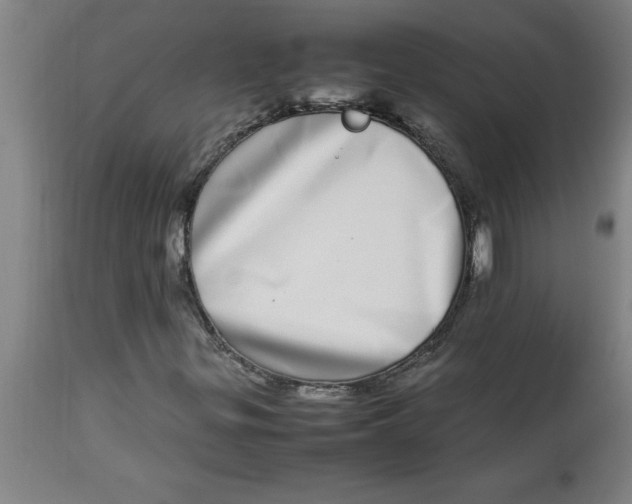 X0000112791299200909181504