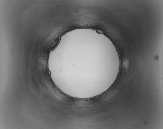 X0000112791300200909181504