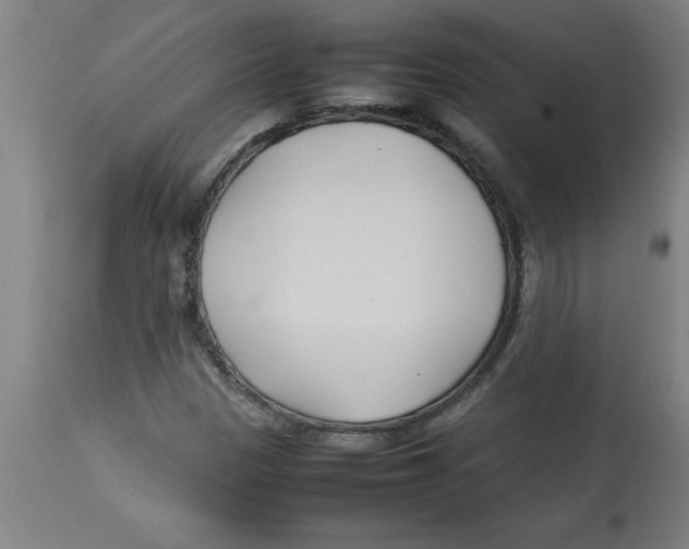 X0000112791305200909181504