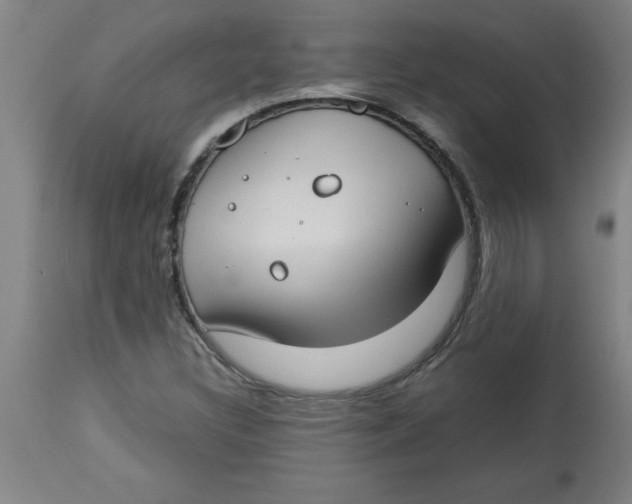 X0000112791308200909181505