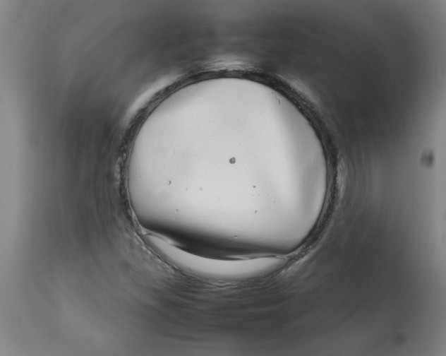 X0000112791309200909181505