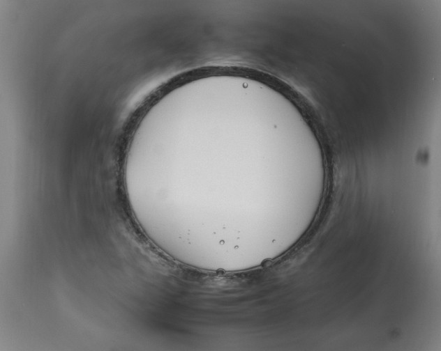 X0000112791311200909181505