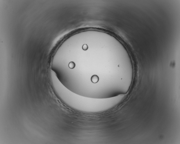 X0000112791312200909181505