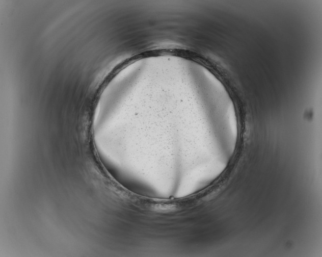 X0000112791313200909181505