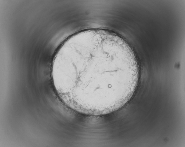 X0000112791314200909181505