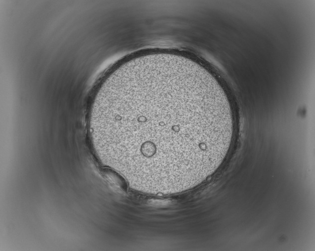 X0000112791315200909181505