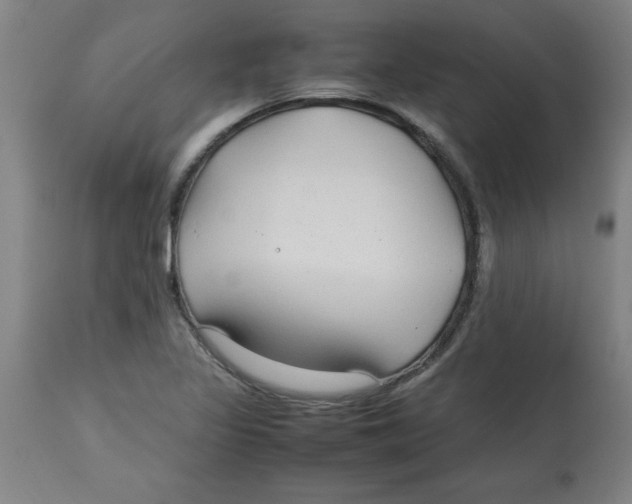 X0000112791317200909181505