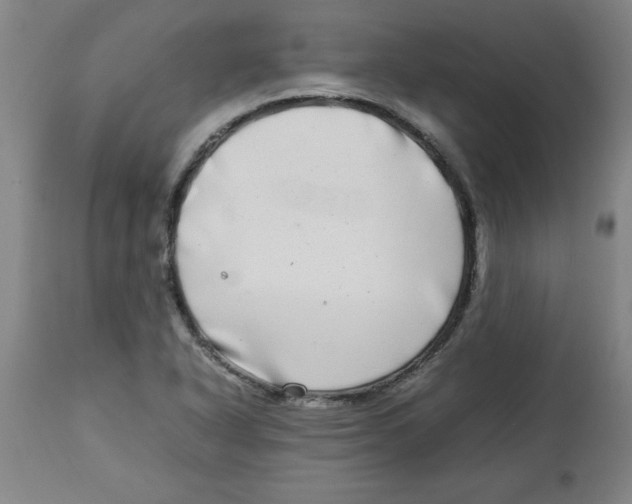 X0000112791318200909181505