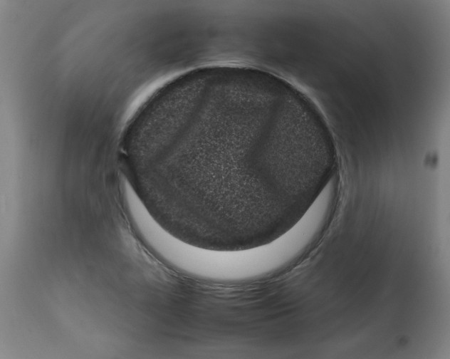 X0000112791319200909181505